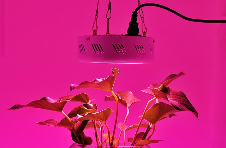 Hanging Full Spectrum 150 Watt UFO LED Grow Light